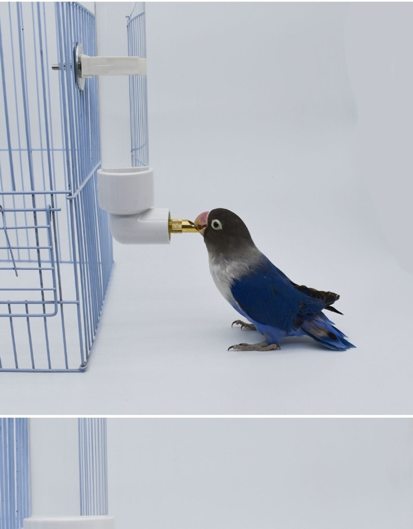 Parrot Water Fountain Firing Pin Drinking Bottle Large Automatic Water Feeder Pet Totoro Hanging Rabbit Water Cup