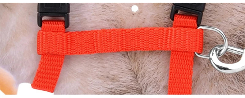 5 Color Adjustable Pet Cat Collar For Cats Cozy Nylon Rabbit Kitten Kedi Harness Leash Set Dog Cat Accessories Products For Pets