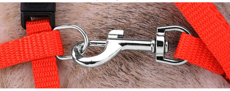 5 Color Adjustable Pet Cat Collar For Cats Cozy Nylon Rabbit Kitten Kedi Harness Leash Set Dog Cat Accessories Products For Pets