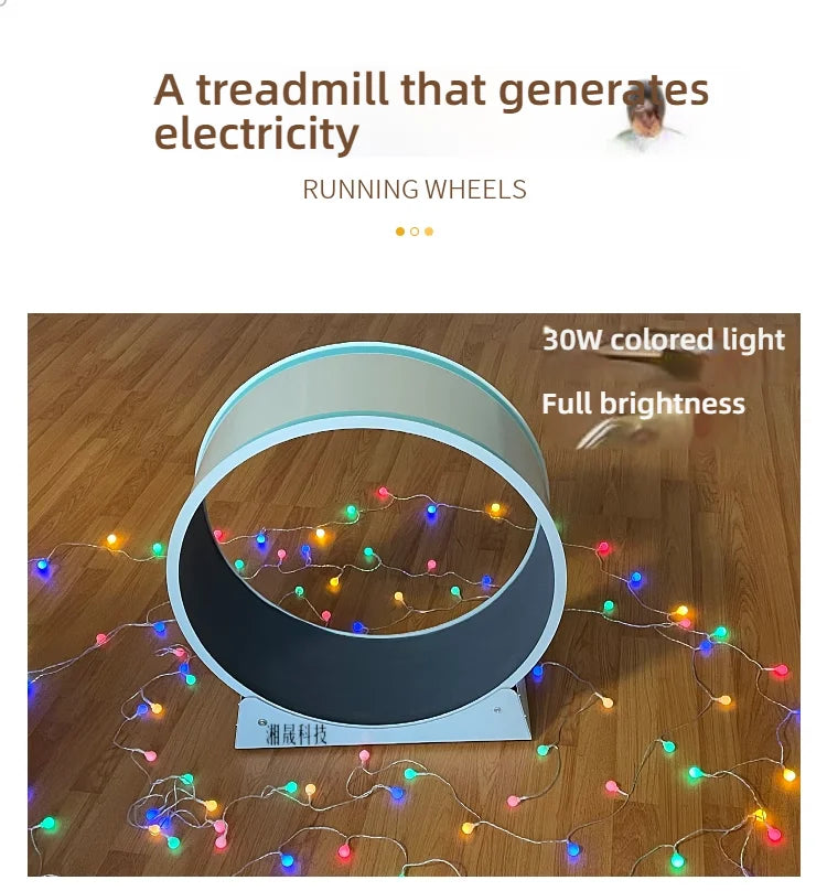 Cat, small dog, running generator, permanent magnet generator, roller, stable pet, sports and fitness toy, USB charging