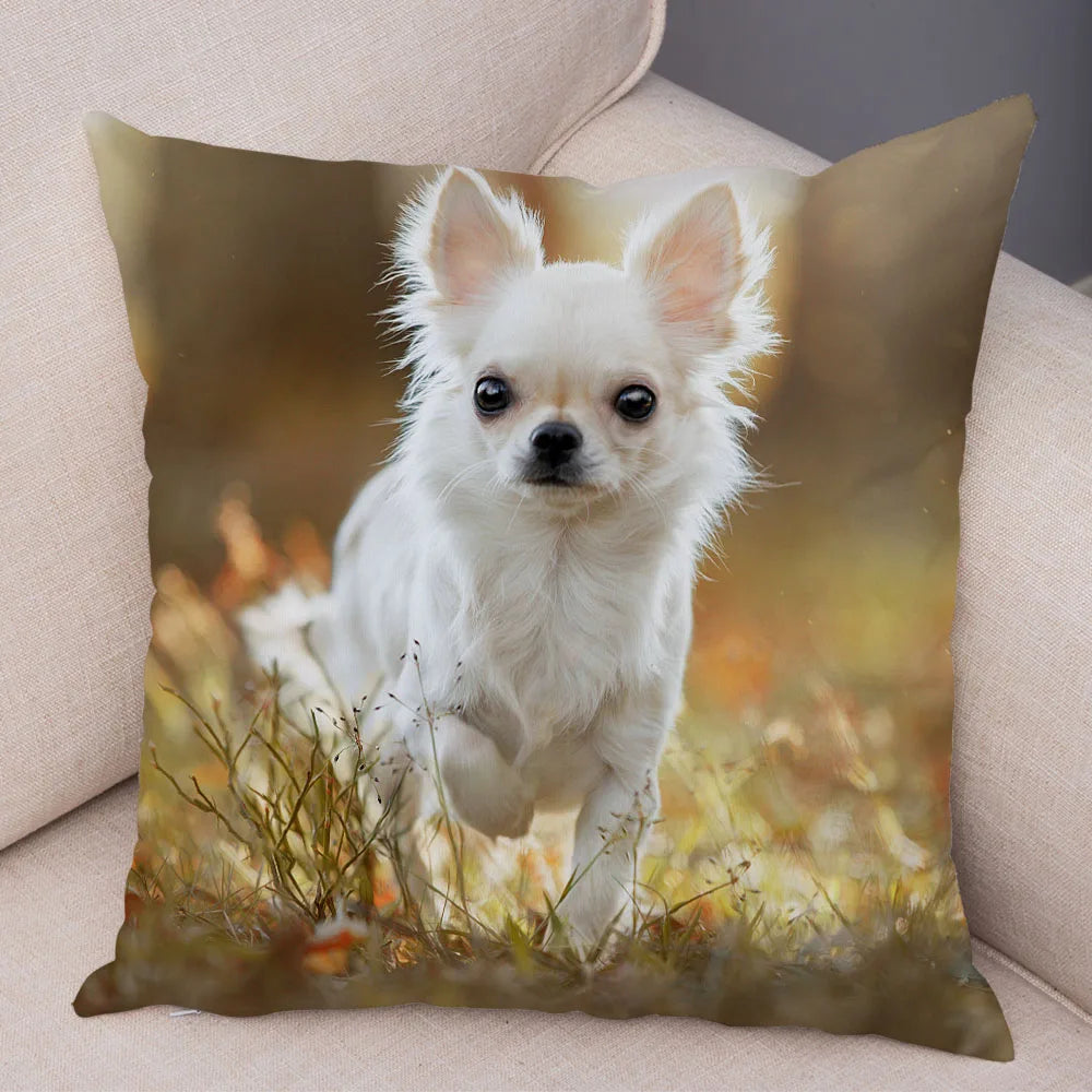 Cute Puppy Chihuahua Pillowcase Cushion Cover Car Sofa Home  Pet Animal  Decoration