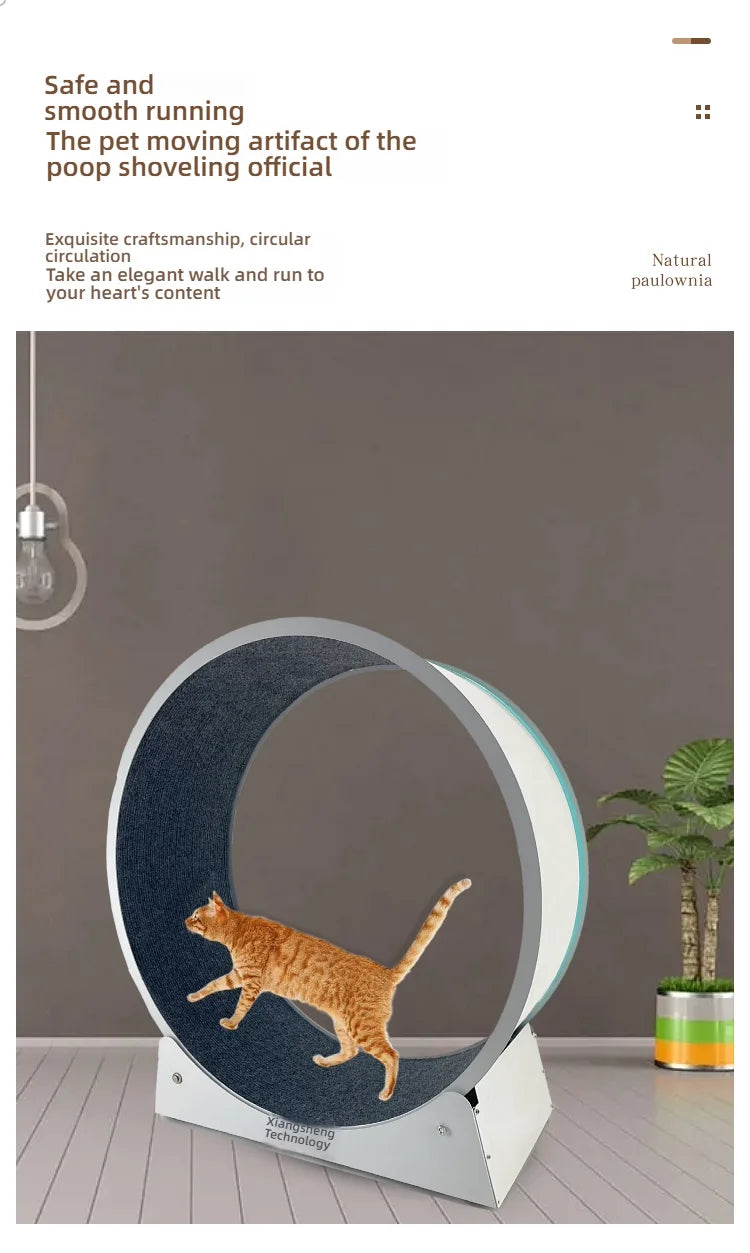 Cat, small dog, running generator, permanent magnet generator, roller, stable pet, sports and fitness toy, USB charging