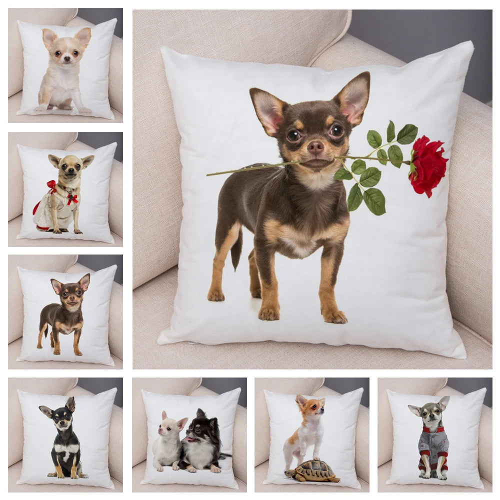 Cute Puppy Chihuahua Pillowcase Cushion Cover Car Sofa Home  Pet Animal  Decoration