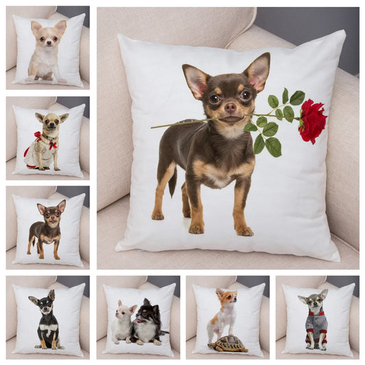 Cute Puppy Chihuahua Pillowcase Cushion Cover Car Sofa Home  Pet Animal  Decoration