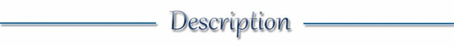 Usb Charging Glowing Dog Collar With Pendant Detachable Luxury Led Light Bright For Small Dogs Cat Night Safety Collar Wholesale