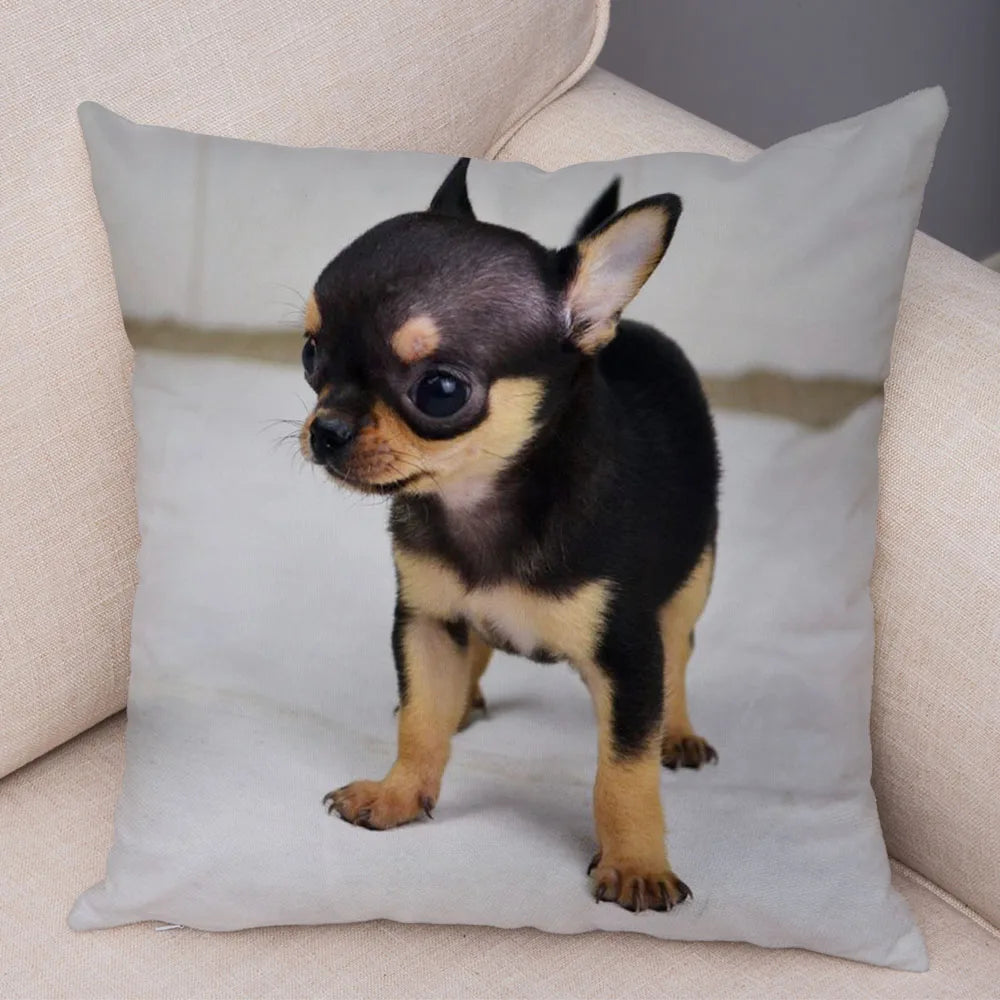 Cute Puppy Chihuahua Pillowcase Cushion Cover Car Sofa Home  Pet Animal  Decoration