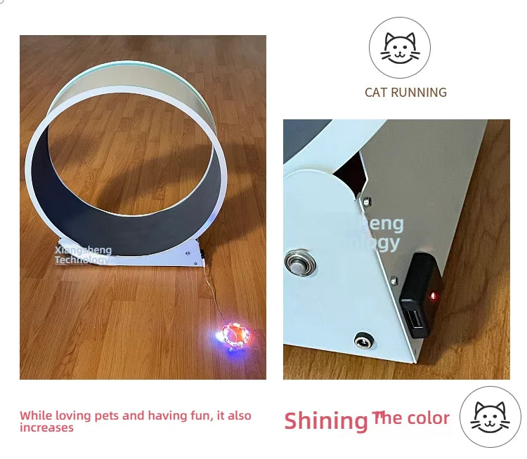 Cat, small dog, running generator, permanent magnet generator, roller, stable pet, sports and fitness toy, USB charging