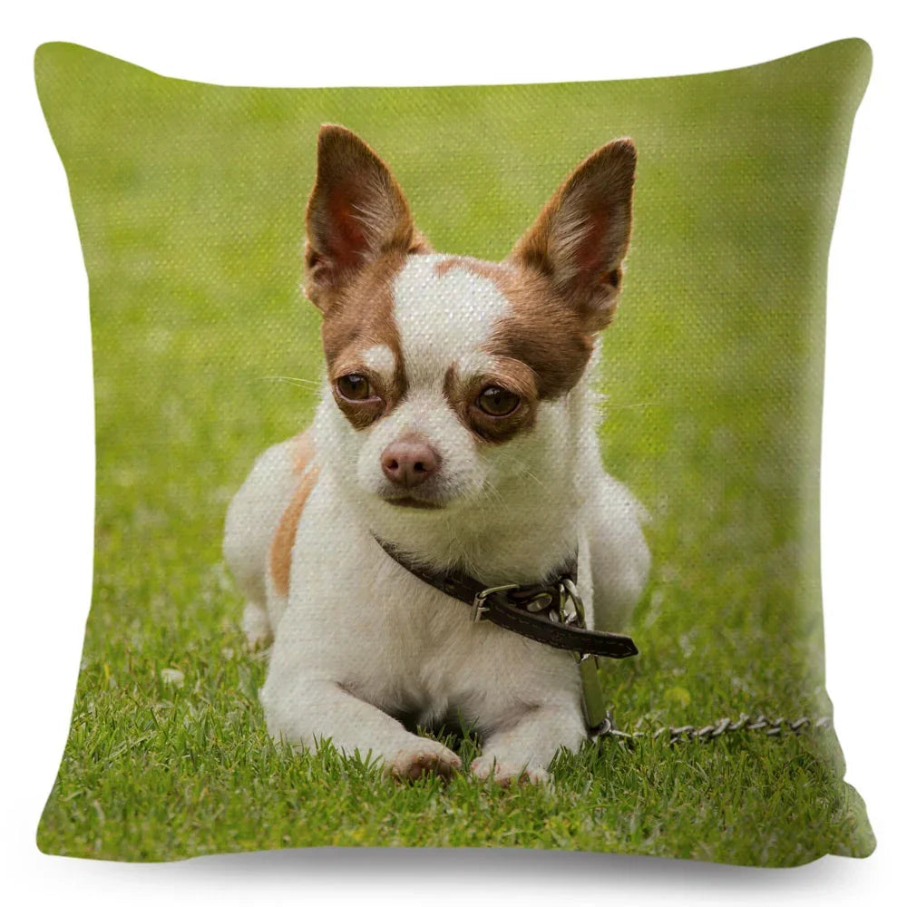 Cute Little Dog Chihuahua Cushion Cover Decor Lovely Pet Animal Pillowcase Polyester Throw Pillow Case for Sofa Home Car 45x45cm