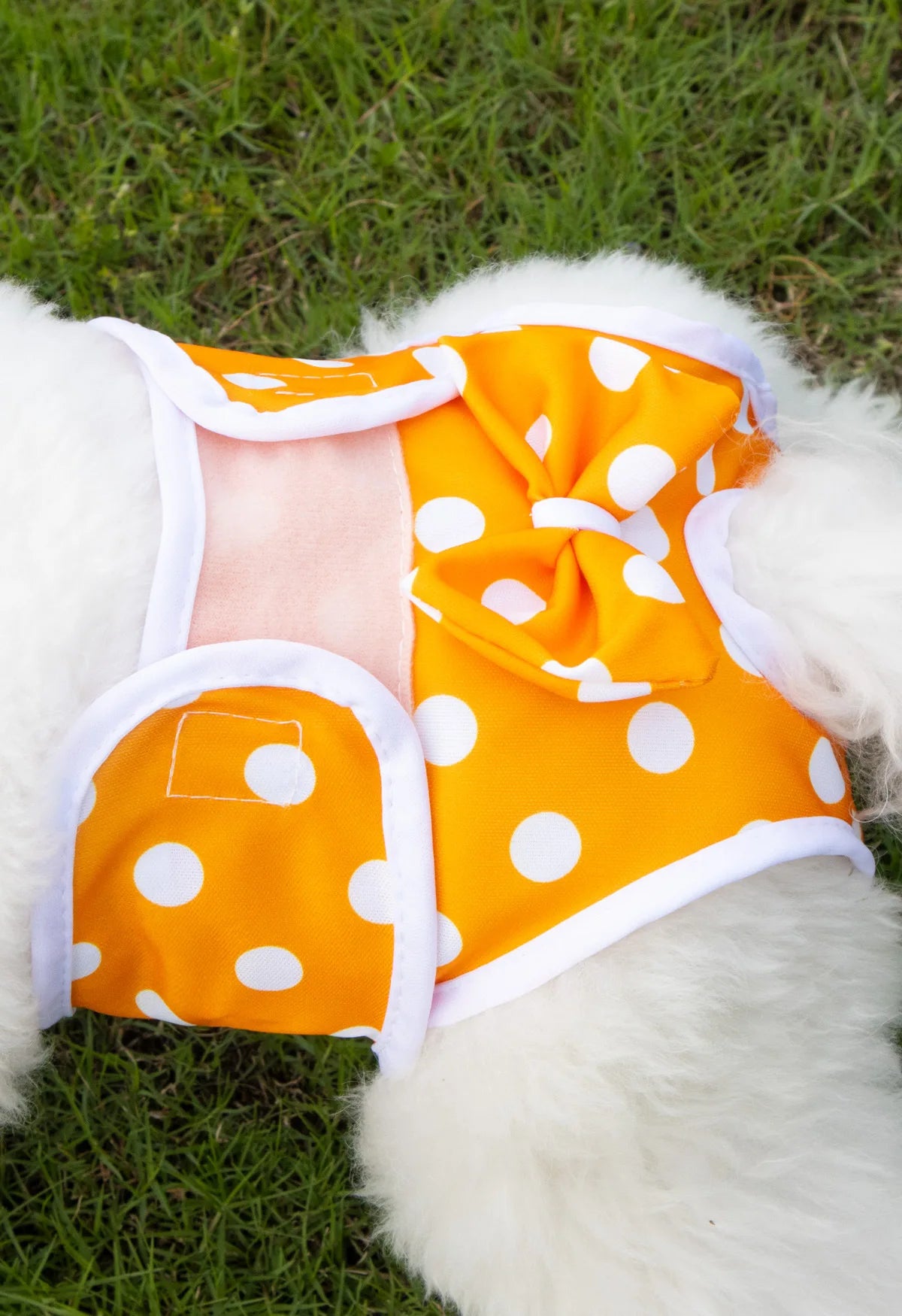 Reusable Female Dogs Diaper Pants Sanitary Female Dog Pants Diapers For Dogs Menstruation Pet Cat Physiological Shorts Girl