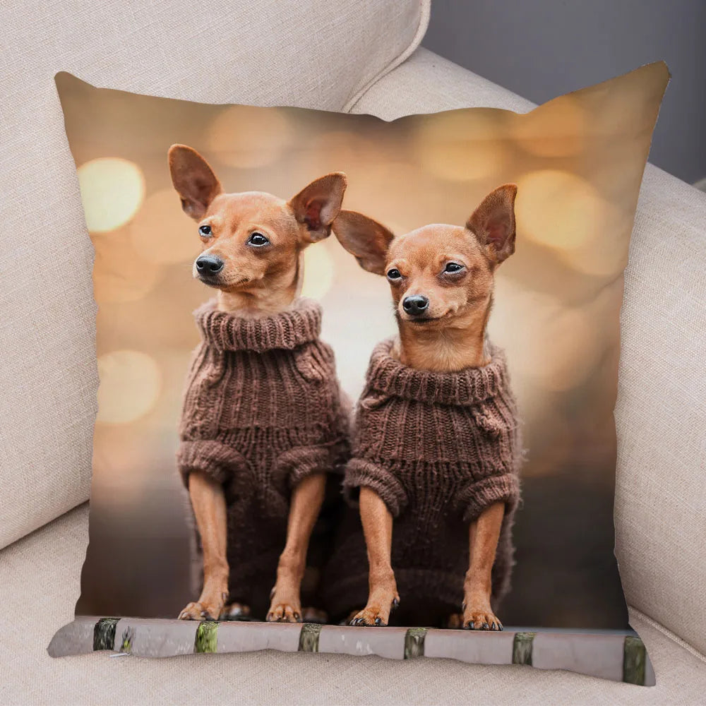 Cute Puppy Chihuahua Pillowcase Cushion Cover Car Sofa Home  Pet Animal  Decoration
