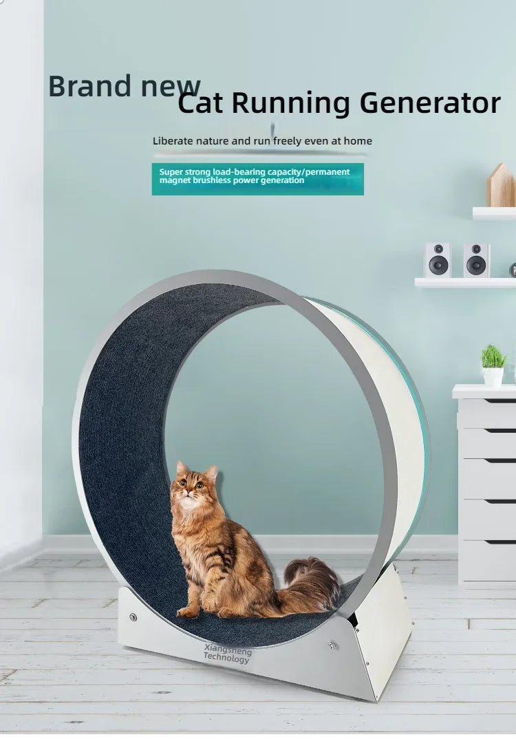 Cat, small dog, running generator, permanent magnet generator, roller, stable pet, sports and fitness toy, USB charging