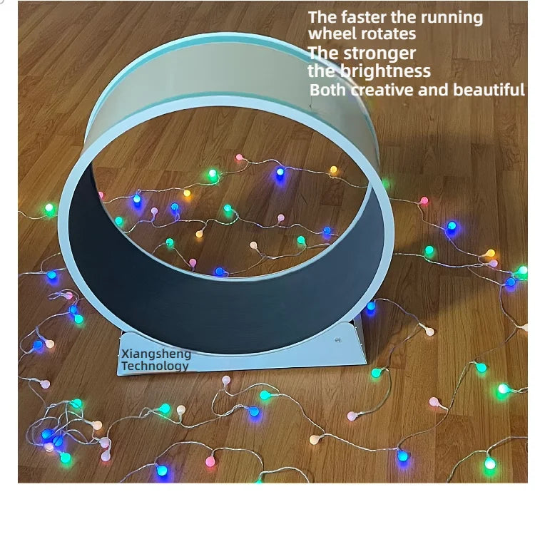 Cat, small dog, running generator, permanent magnet generator, roller, stable pet, sports and fitness toy, USB charging