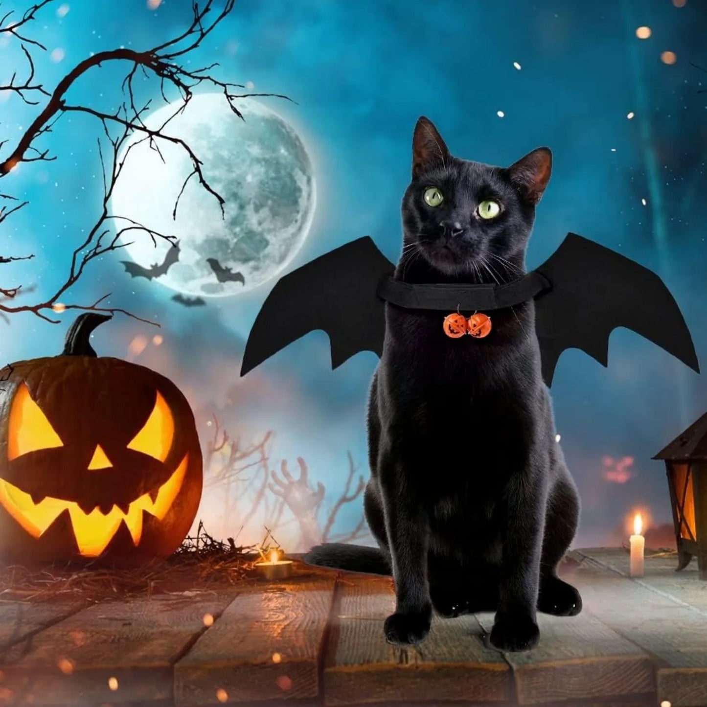Cat Bat Wings Cat Bat Costume Halloween Costumes Cute Bats Wings for Cats Kitten Kitten Bats Wing Pet Dress Up Accessories