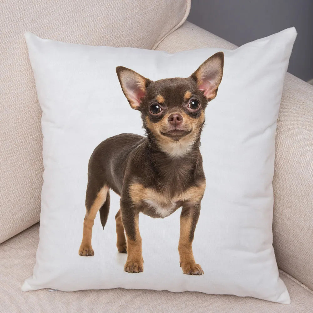 Cute Puppy Chihuahua Pillowcase Cushion Cover Car Sofa Home  Pet Animal  Decoration
