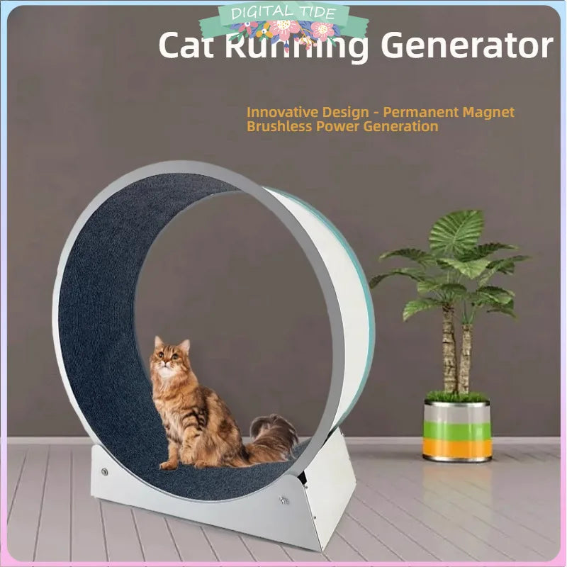 Cat, small dog, running generator, permanent magnet generator, roller, stable pet, sports and fitness toy, USB charging