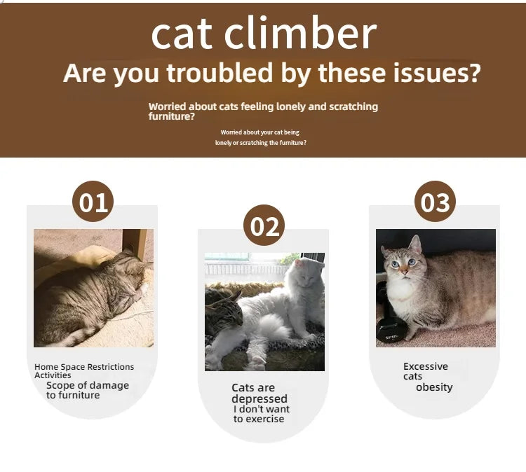 Cat, small dog, running generator, permanent magnet generator, roller, stable pet, sports and fitness toy, USB charging