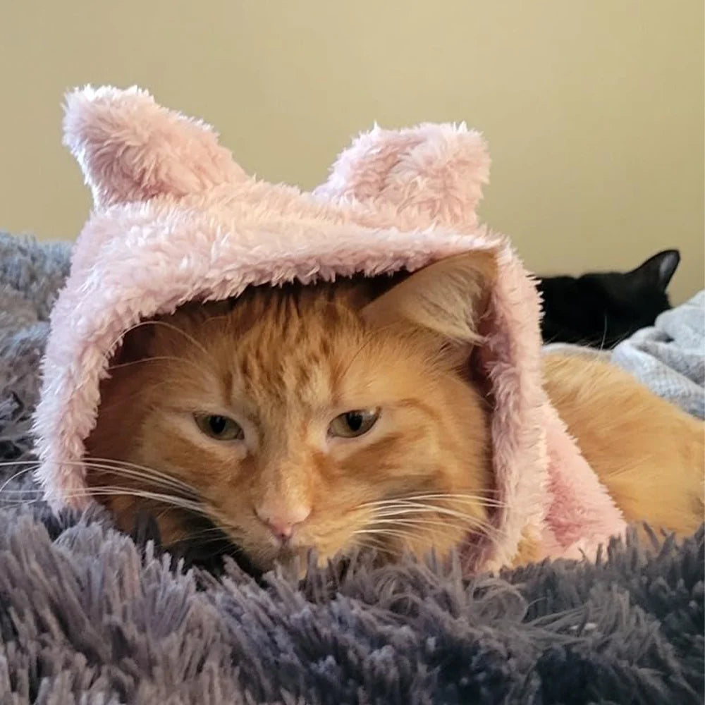 Winter Warm Cat Hoodie Cute Cozy Pet Outfits Rabbit Ears Pets Clothes For Small Medium Dogs Cats Puppy Kitty Soft Sphynx Coat