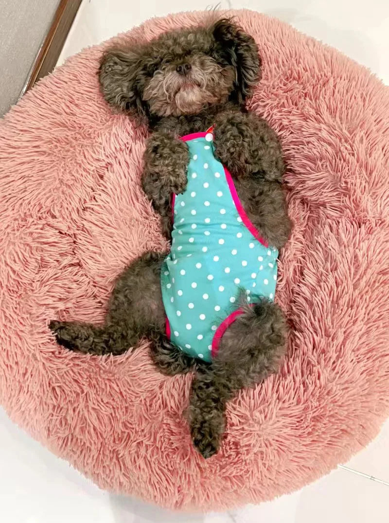 Dot Denim Dog Female Shorts Pants for Small Medium Dogs Chihuahua Pinscher Physiological Panties mascotas Underwear Accessories