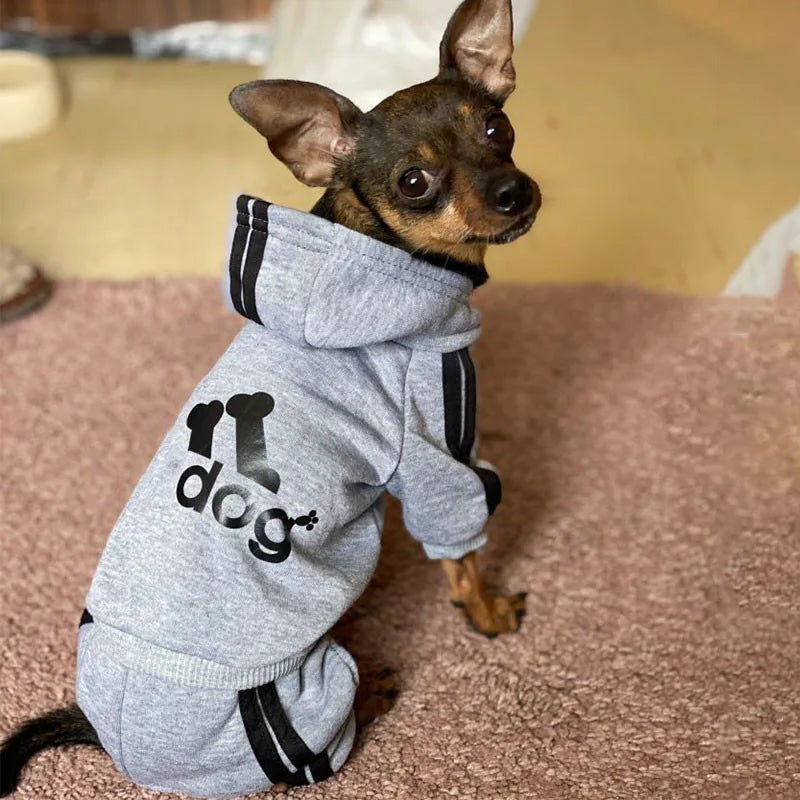 Clothes for Small Dogs Warm Puppy Cat Coat Sport Overalls for Dogs Chihuahua French Bulldog Clothing Outfit Autumn Winter