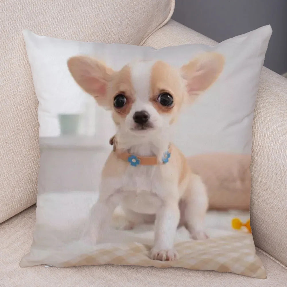 Cute Puppy Chihuahua Pillowcase Cushion Cover Car Sofa Home  Pet Animal  Decoration