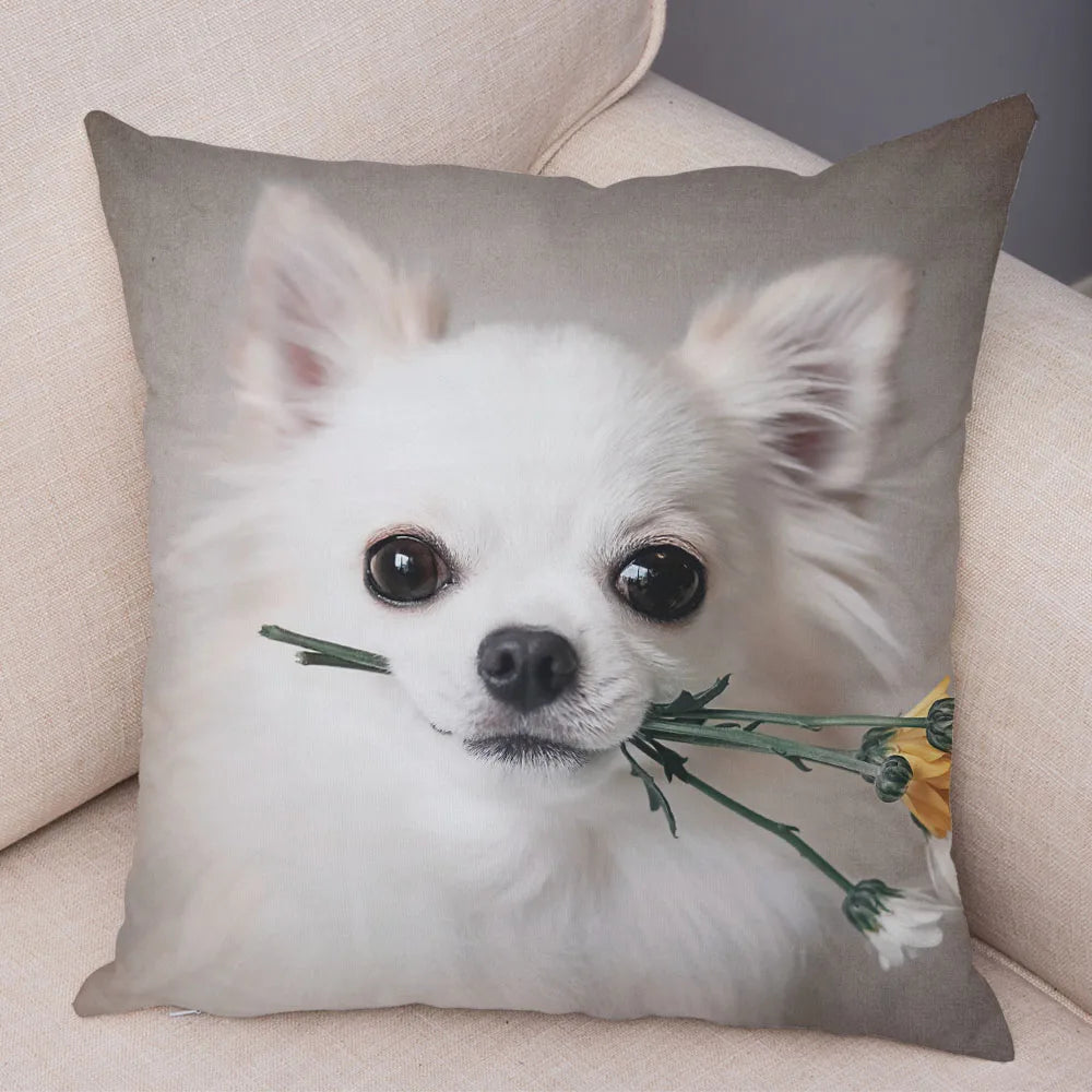 Cute Puppy Chihuahua Pillowcase Cushion Cover Car Sofa Home  Pet Animal  Decoration