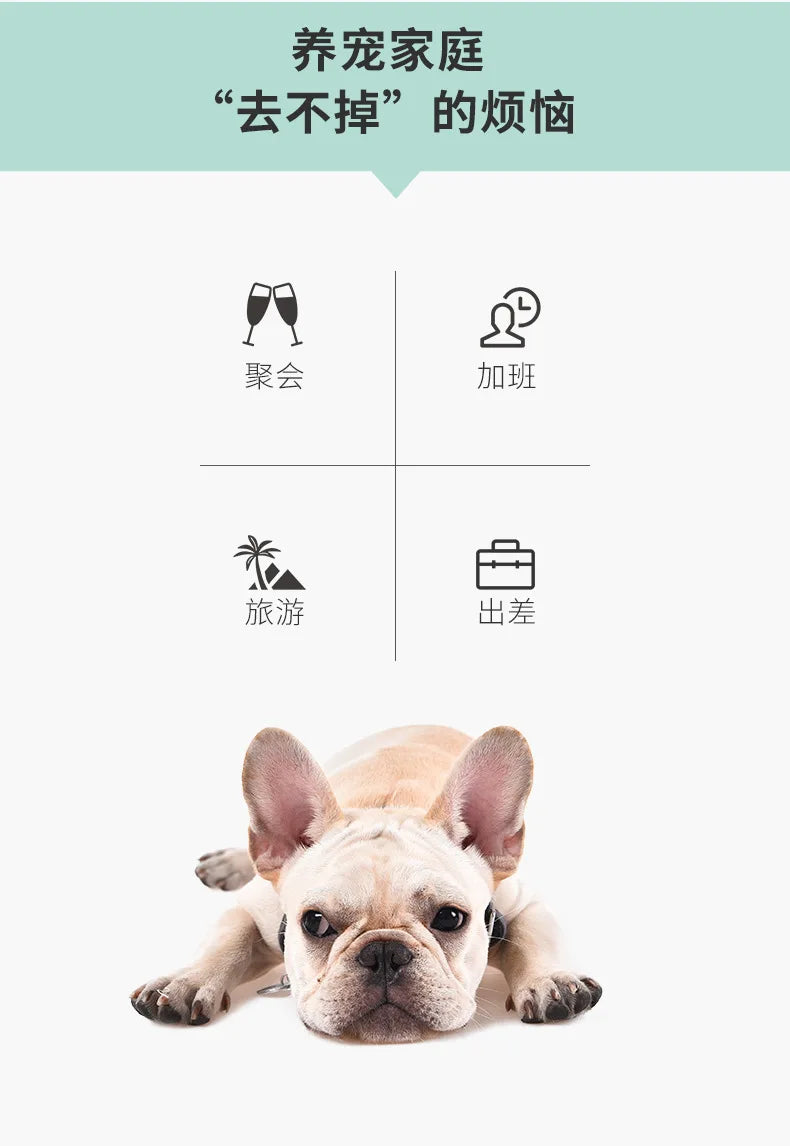 Automatic Feeder Pet Dog Round Timing Feeder 6 Meals 6 Grids Cat Dog Electric Dry Food Dispenser 24 Hours Feed Pet Supplies