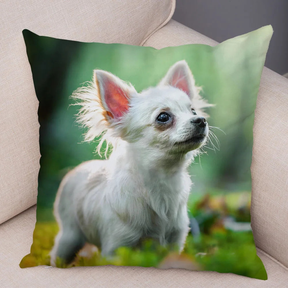 Cute Puppy Chihuahua Pillowcase Cushion Cover Car Sofa Home  Pet Animal  Decoration