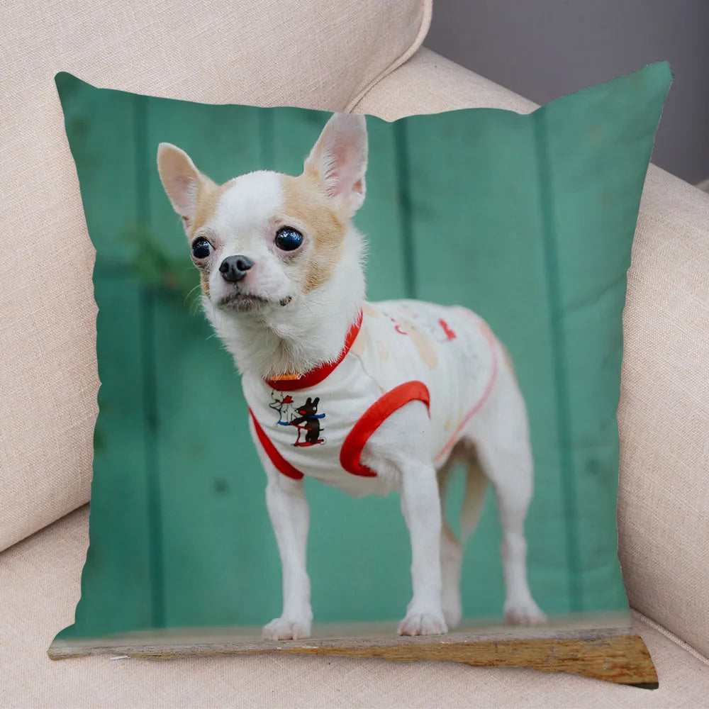 Cute Puppy Chihuahua Pillowcase Cushion Cover Car Sofa Home  Pet Animal  Decoration