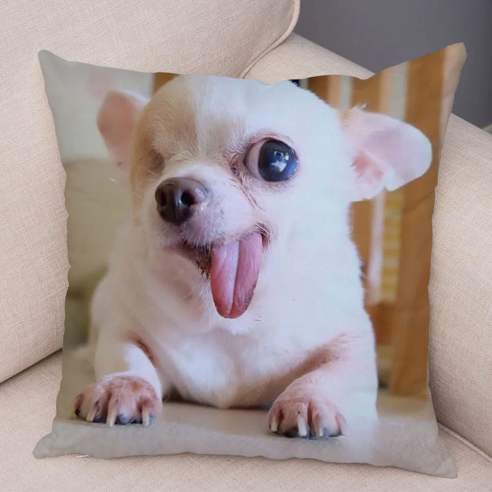 Cute Puppy Chihuahua Pillowcase Cushion Cover Car Sofa Home  Pet Animal  Decoration