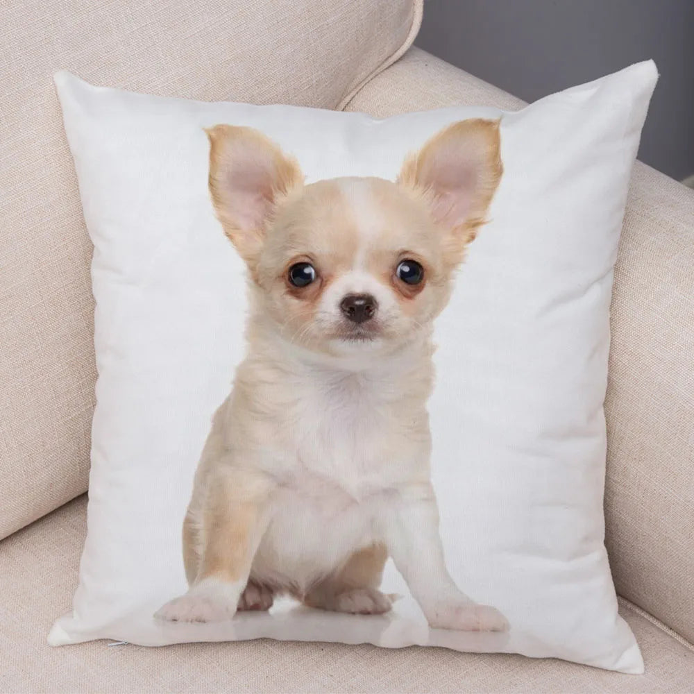 Cute Puppy Chihuahua Pillowcase Cushion Cover Car Sofa Home  Pet Animal  Decoration