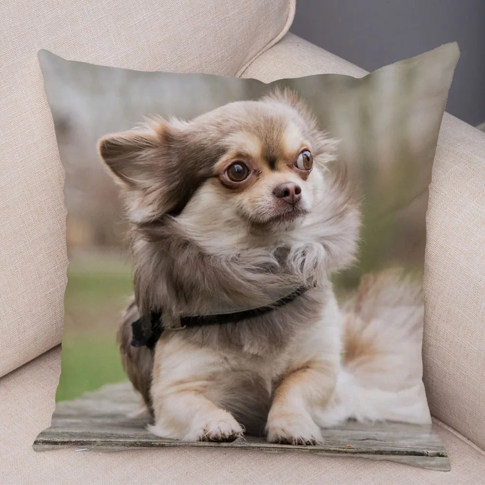 Cute Puppy Chihuahua Pillowcase Cushion Cover Car Sofa Home  Pet Animal  Decoration