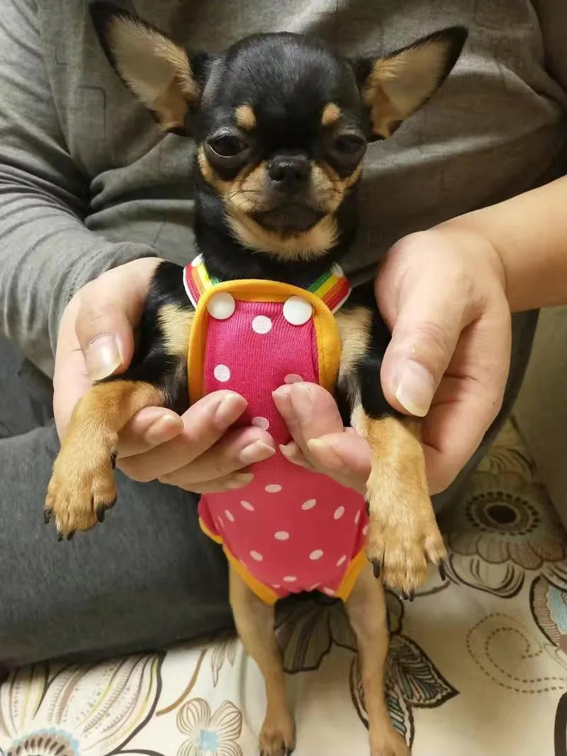 Dot Denim Dog Female Shorts Pants for Small Medium Dogs Chihuahua Pinscher Physiological Panties mascotas Underwear Accessories