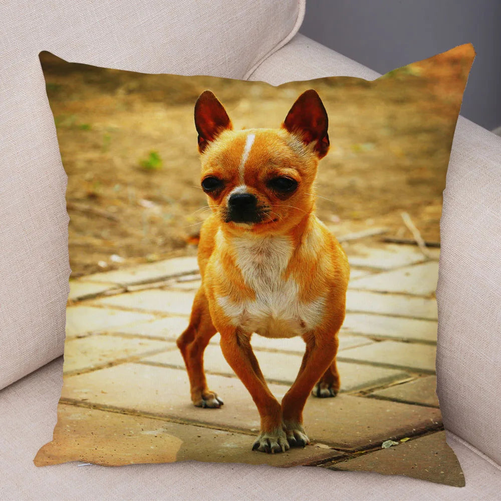 Cute Puppy Chihuahua Pillowcase Cushion Cover Car Sofa Home  Pet Animal  Decoration