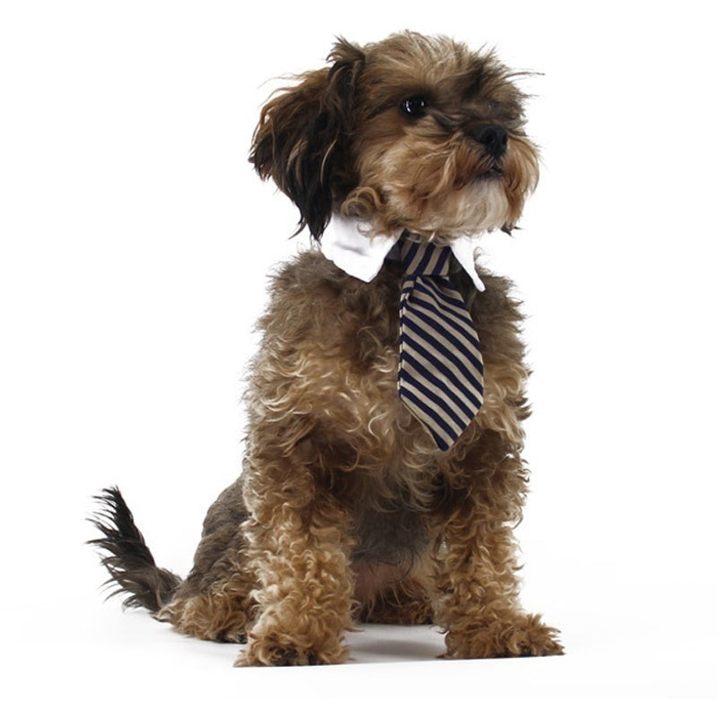 2023 Dog Cat Grooming Cat Striped Bow Tie Animal Striped Bow Tie Collar Pet Adjustable Christmas Cat Collar Pet Collar