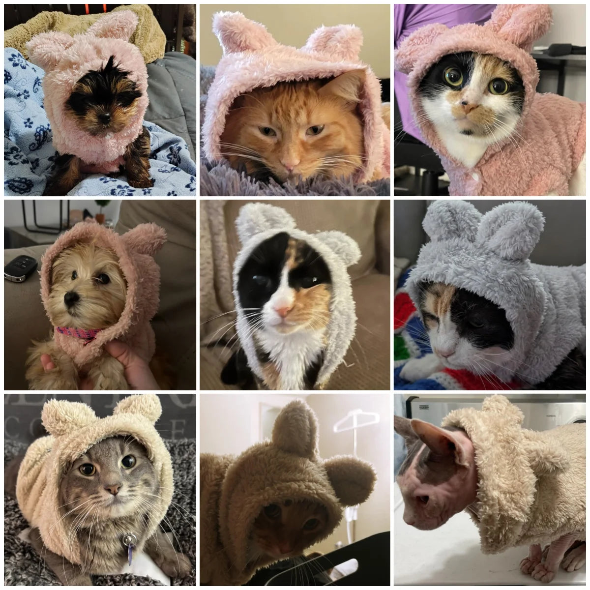 Winter Warm Cat Hoodie Cute Cozy Pet Outfits Rabbit Ears Pets Clothes For Small Medium Dogs Cats Puppy Kitty Soft Sphynx Coat