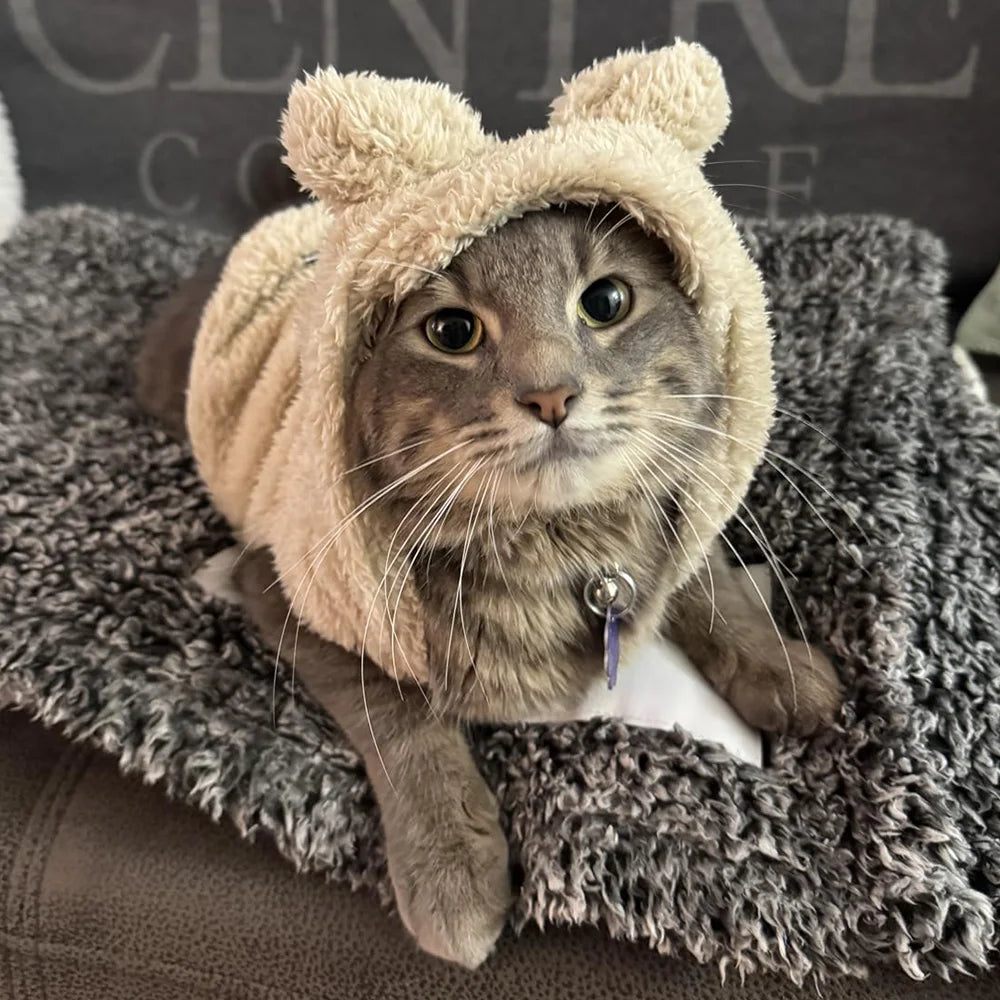 Winter Warm Cat Hoodie Cute Cozy Pet Outfits Rabbit Ears Pets Clothes For Small Medium Dogs Cats Puppy Kitty Soft Sphynx Coat