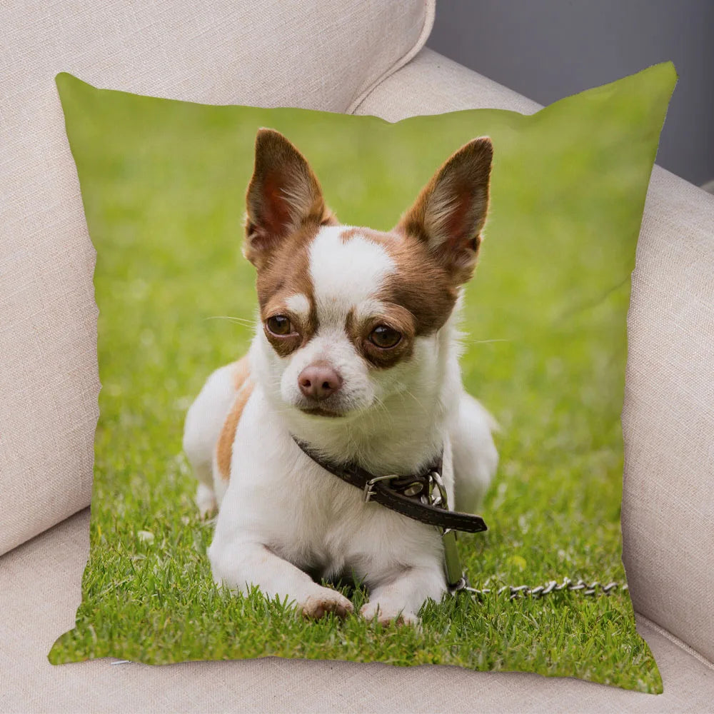 Cute Puppy Chihuahua Pillowcase Cushion Cover Car Sofa Home  Pet Animal  Decoration