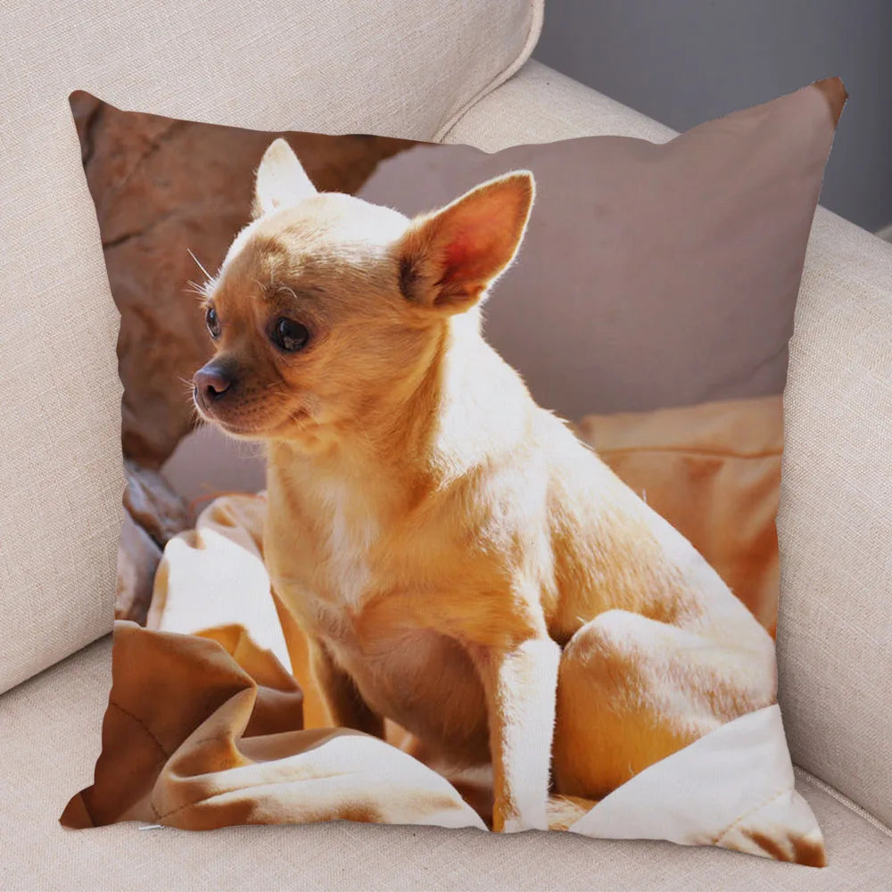 Cute Puppy Chihuahua Pillowcase Cushion Cover Car Sofa Home  Pet Animal  Decoration
