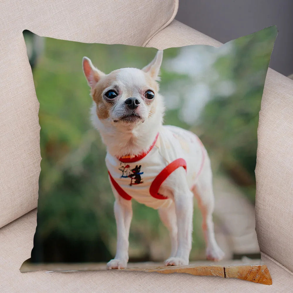 Cute Puppy Chihuahua Pillowcase Cushion Cover Car Sofa Home  Pet Animal  Decoration