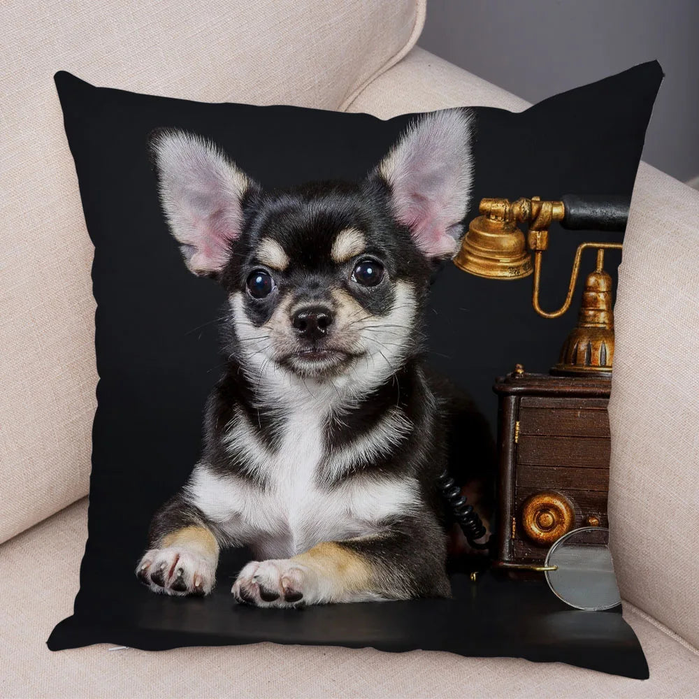 Cute Puppy Chihuahua Pillowcase Cushion Cover Car Sofa Home  Pet Animal  Decoration