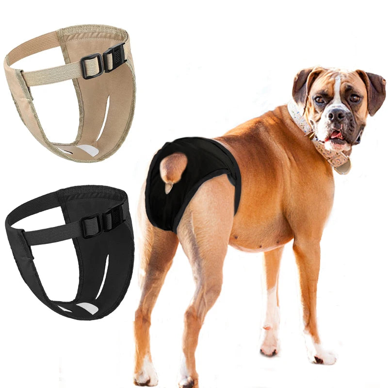Female Dog Panties Adjustable Pet in Heat Menstrual Sanitary Physiological Pants Reusable Diapers for Small Medium Large Dogs