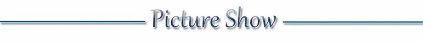 Usb Charging Glowing Dog Collar With Pendant Detachable Luxury Led Light Bright For Small Dogs Cat Night Safety Collar Wholesale