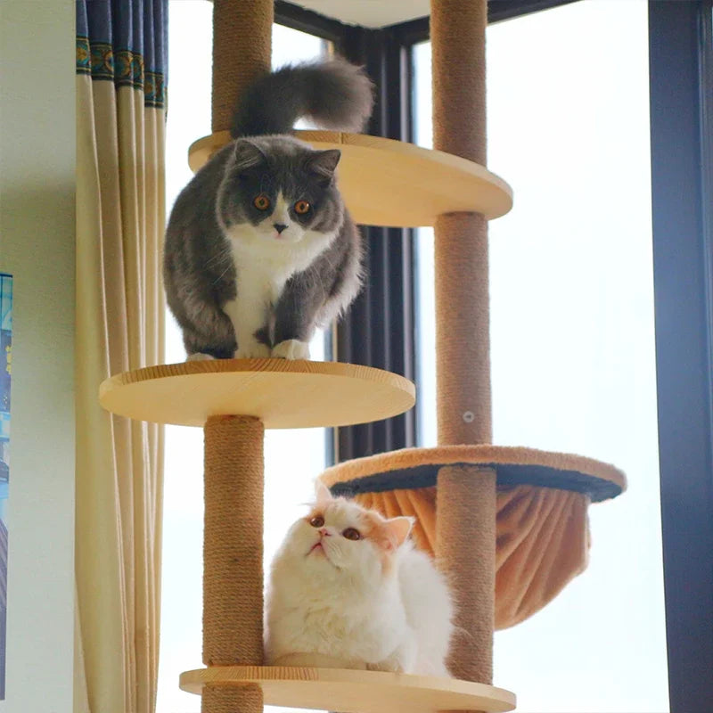 Sf043cd9eebb0447c925564cce5e61264a