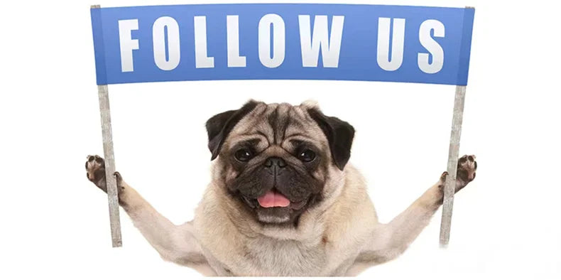 Classic Pet Cat Collar PU Leather Small Dog Scarf Adjustable Puppy Cats Neckerchief trigon Pet Collars Accessories