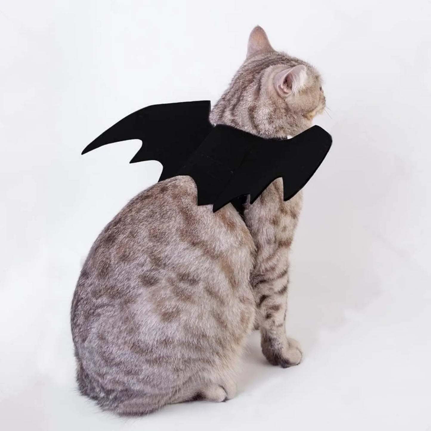 Cat Bat Wings Cat Bat Costume Halloween Costumes Cute Bats Wings for Cats Kitten Kitten Bats Wing Pet Dress Up Accessories