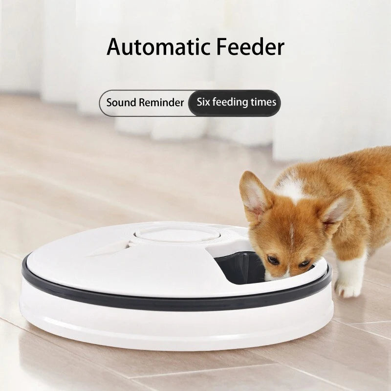 Automatic Feeder Pet Dog Round Timing Feeder 6 Meals 6 Grids Cat Dog Electric Dry Food Dispenser 24 Hours Feed Pet Supplies