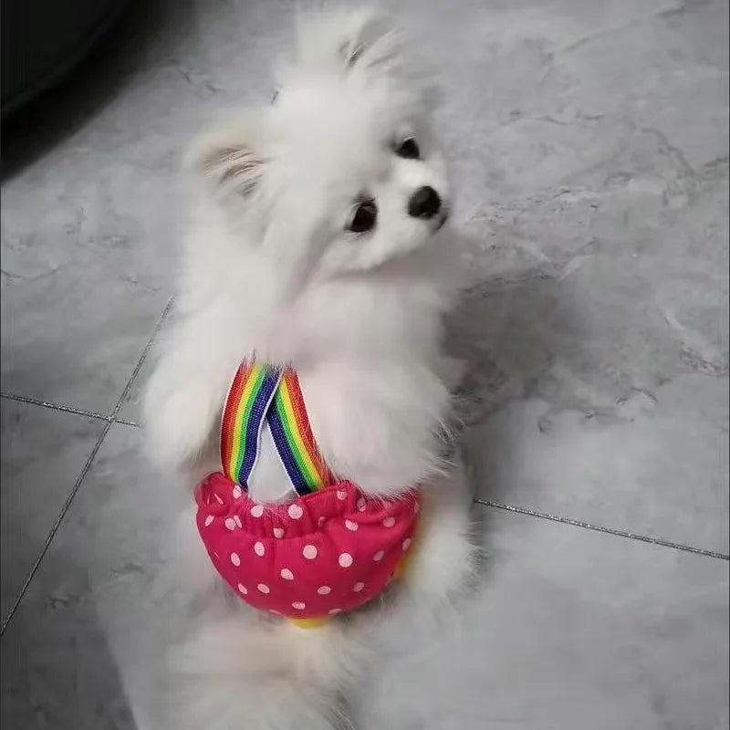 Dot Denim Dog Female Shorts Pants for Small Medium Dogs Chihuahua Pinscher Physiological Panties mascotas Underwear Accessories